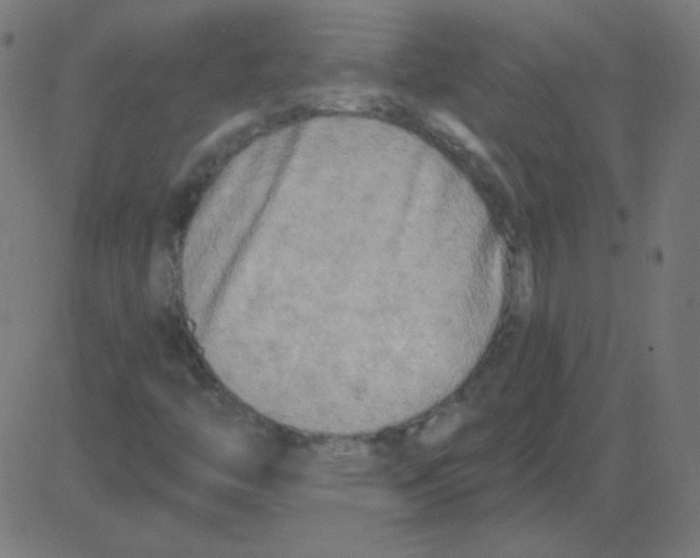 X0000081281446200702012207