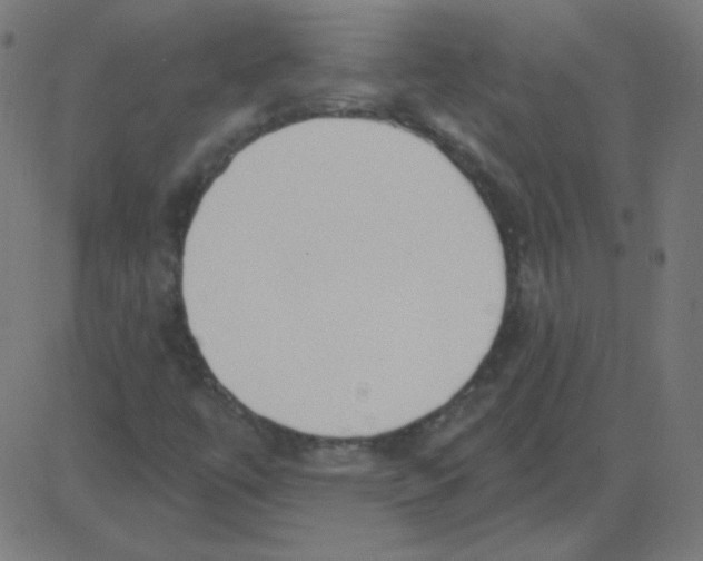 X0000081281447200702012207