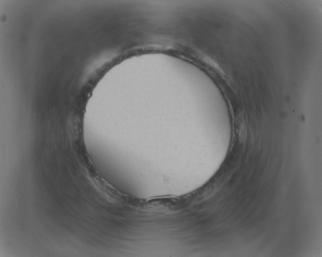 X0000081281448200702012207