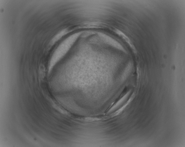 X0000081281449200702012207