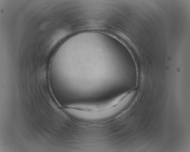 X0000081281450200702012207