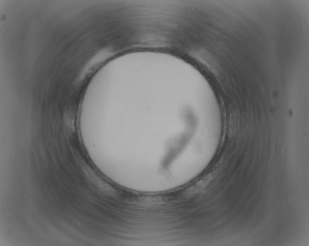 X0000081281451200702012207