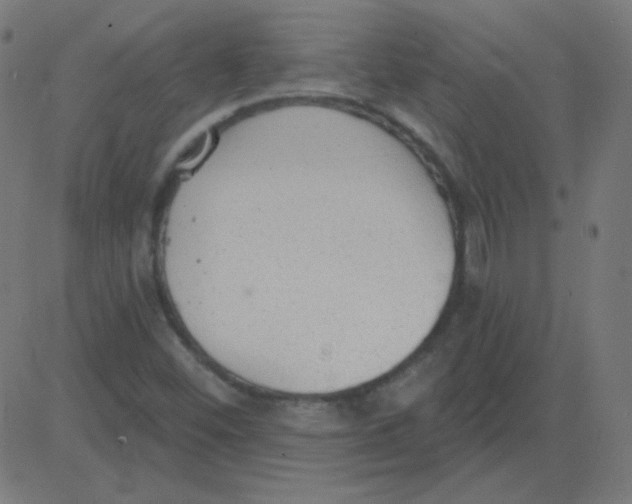 X0000081281452200702012207