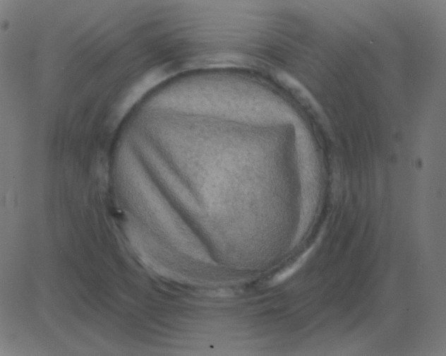 X0000081281457200702012206