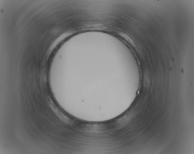 X0000081281458200702012206