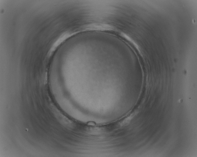 X0000081281459200702012206