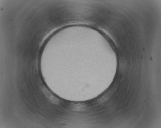 X0000081281460200702012206