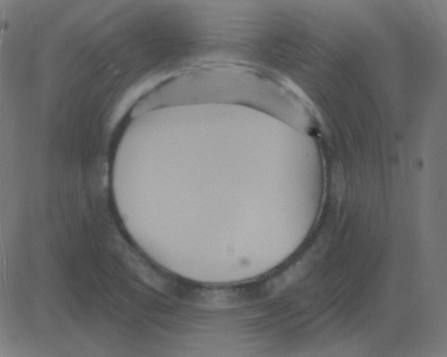 X0000081281461200702012206