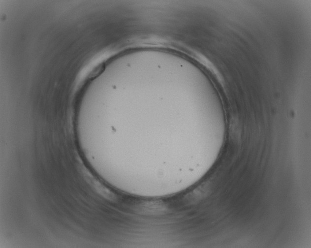 X0000081281464200702012206