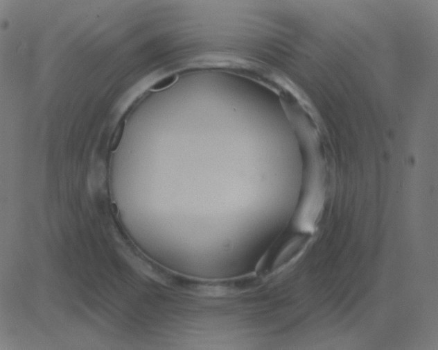 X0000081281465200702012206