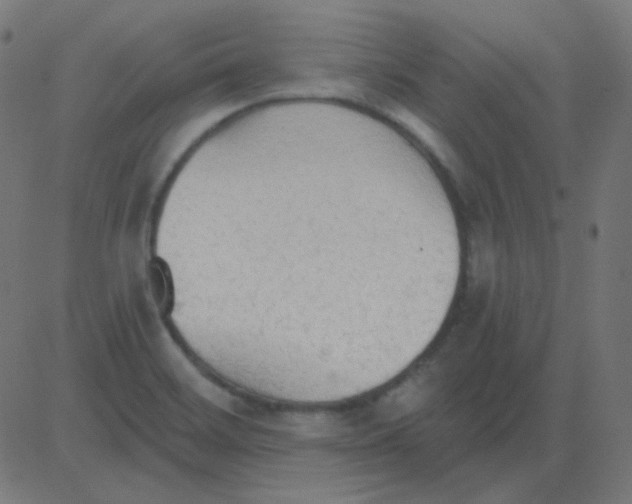 X0000081281468200702012206