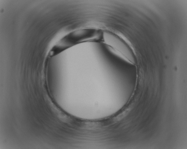 X0000081281469200702012206