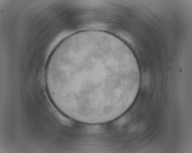 X0000081281470200702012206