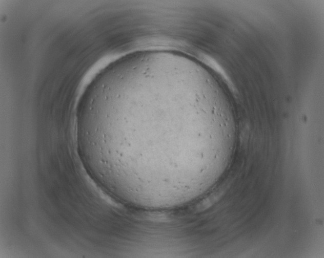 X0000081281472200702012206