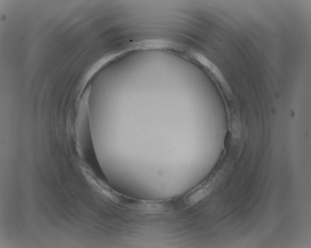 X0000081281473200702012206