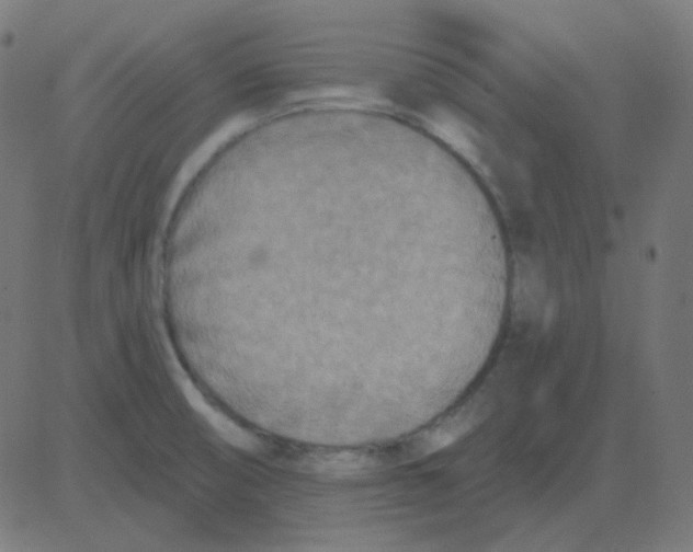 X0000081281474200702012206