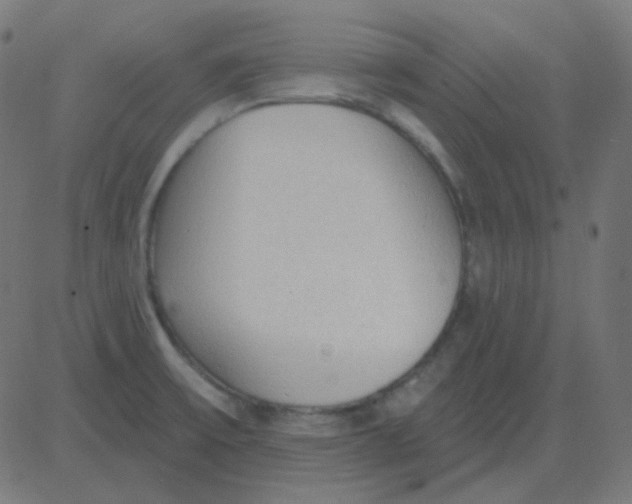 X0000081281475200702012206