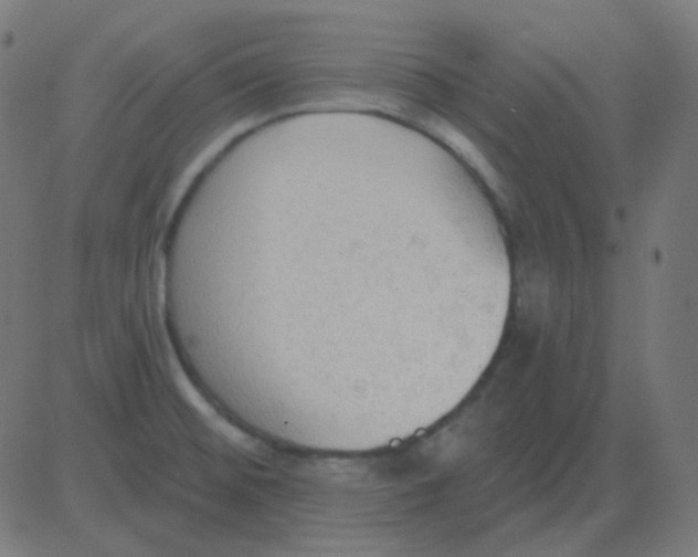 X0000081281476200702012206