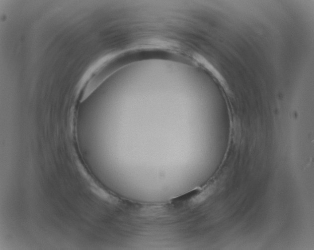 X0000081281477200702012206