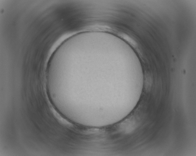 X0000081281478200702012206