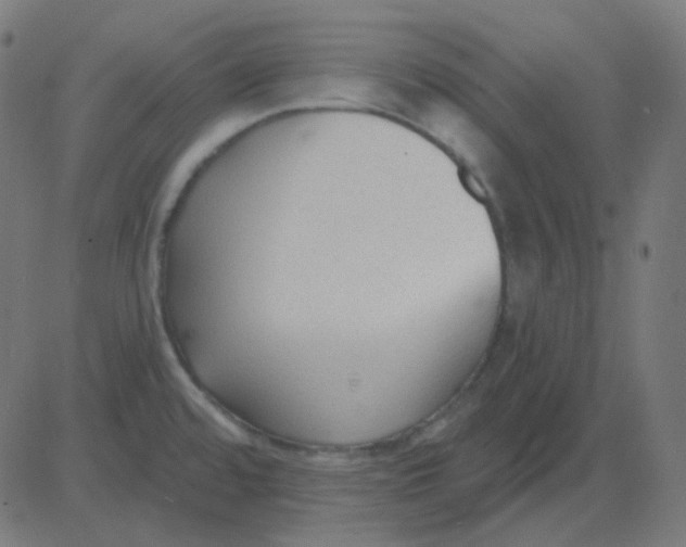 X0000081281480200702012206