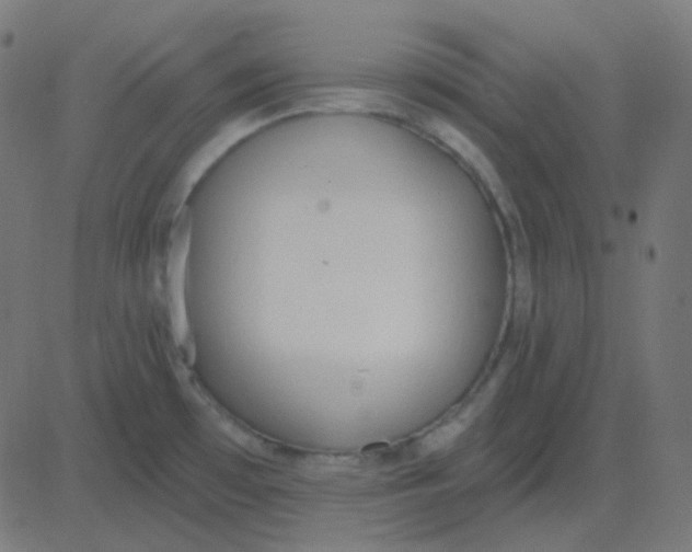 X0000081281481200702012206