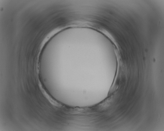 X0000081281485200702012206