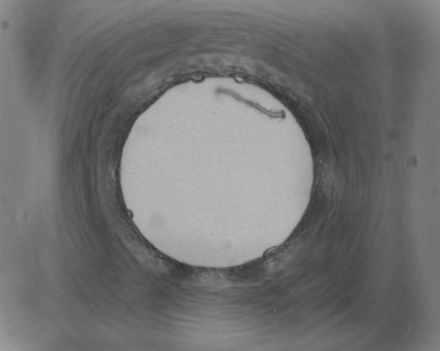 X0000081281489200702012205