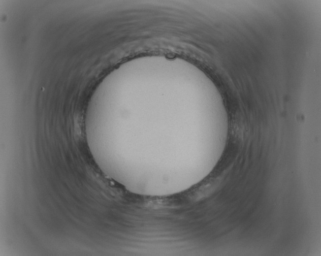 X0000081281490200702012205