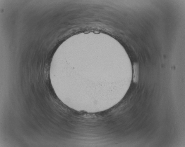 X0000081281491200702012205