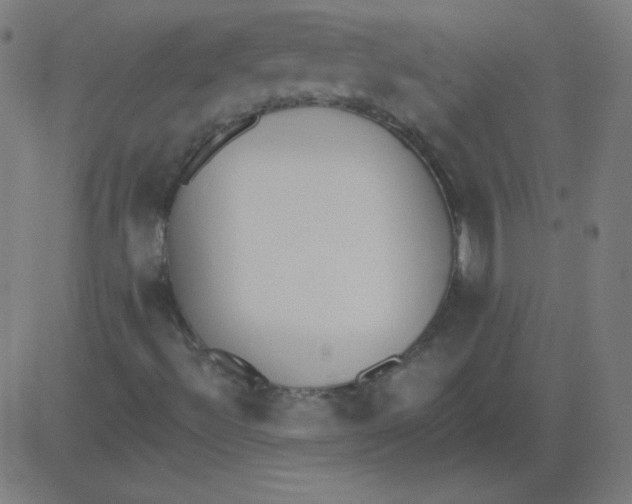 X0000081281492200702012205