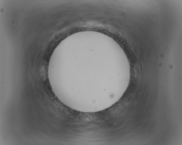 X0000081281493200702012205