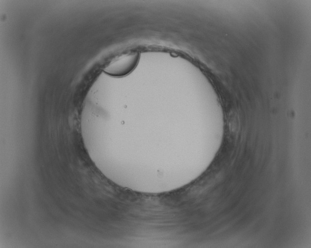 X0000081281495200702012205