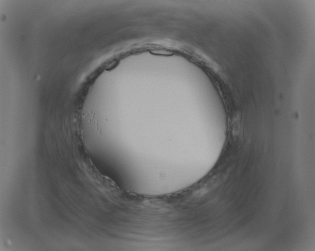 X0000081281496200702012205