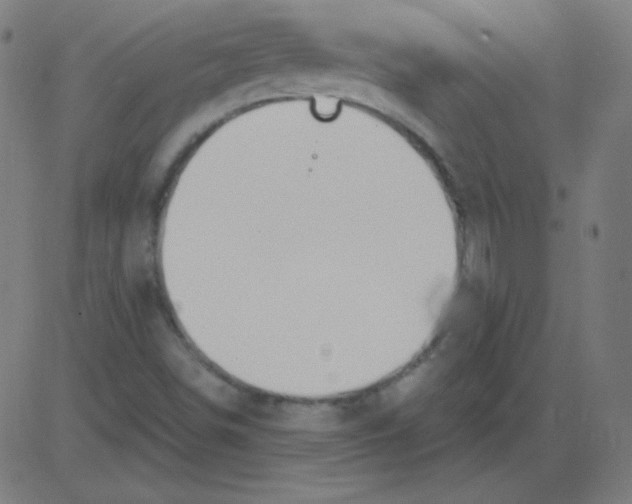 X0000081281498200702012205