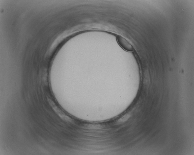 X0000081281499200702012205