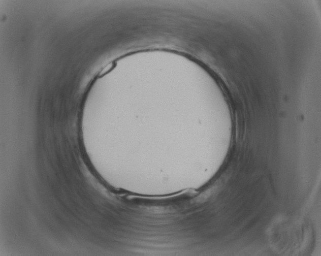 X0000081281500200702012205