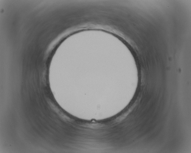 X0000081281502200702012205