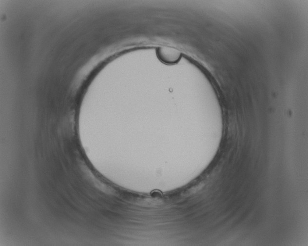 X0000081281503200702012205