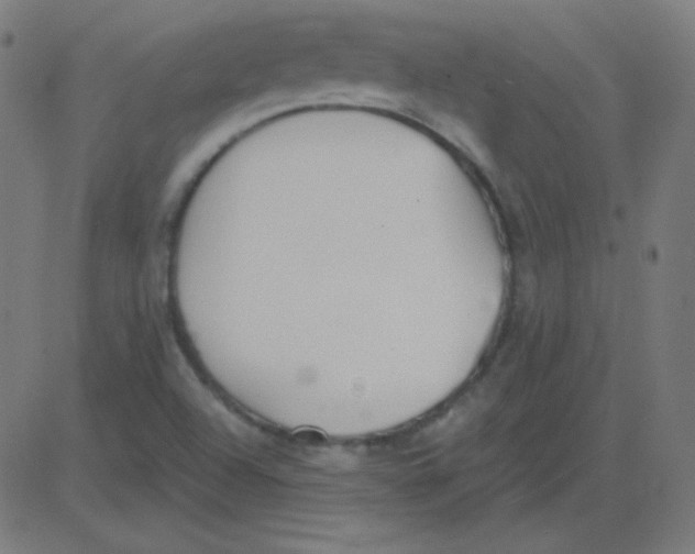 X0000081281504200702012205