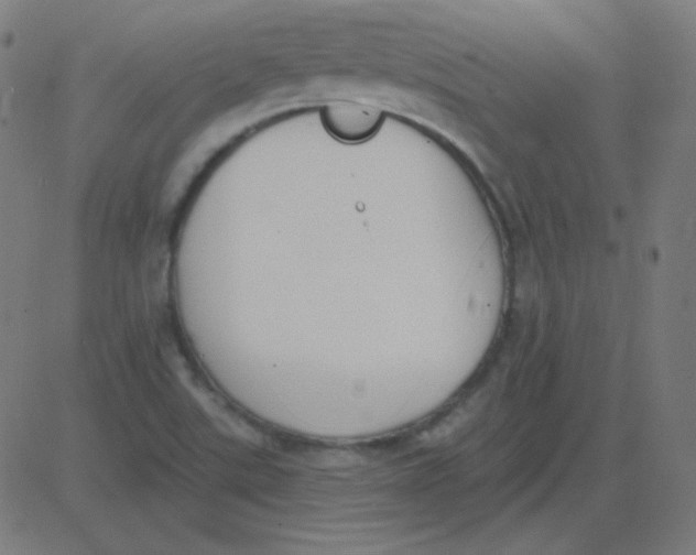 X0000081281507200702012205