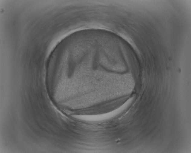 X0000081281508200702012205