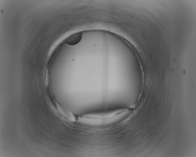 X0000081281510200702012205