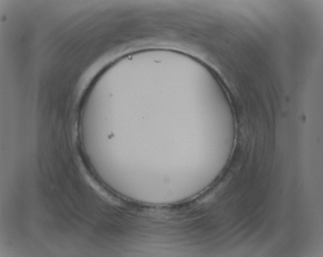 X0000081281511200702012205