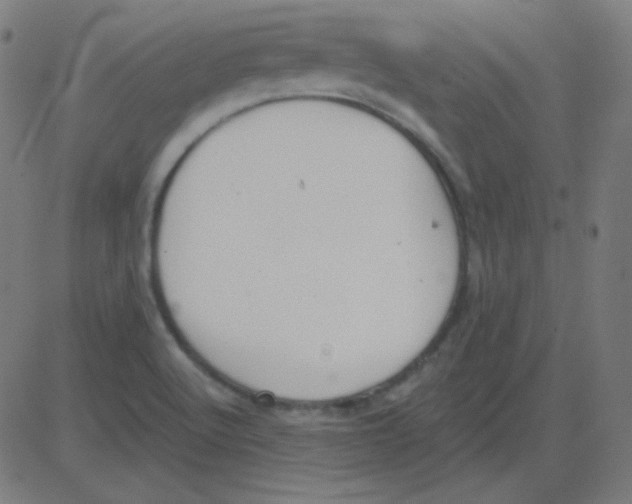 X0000081281512200702012206