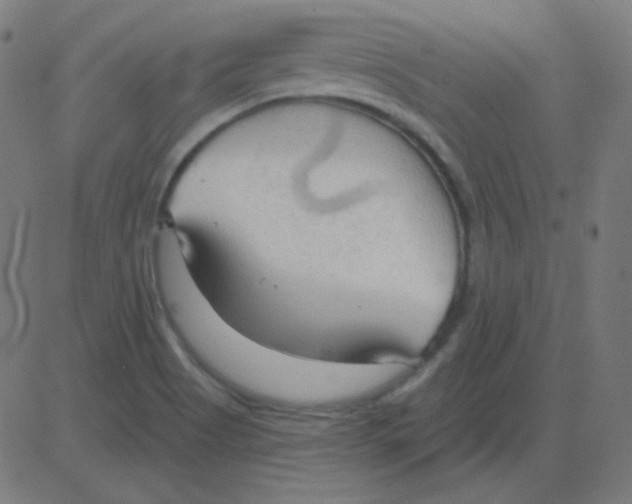 X0000081281513200702012206