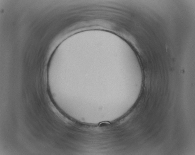 X0000081281516200702012206