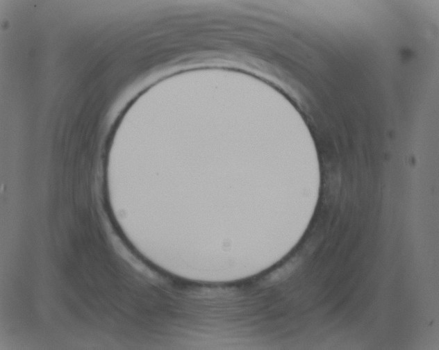 X0000081281518200702012206