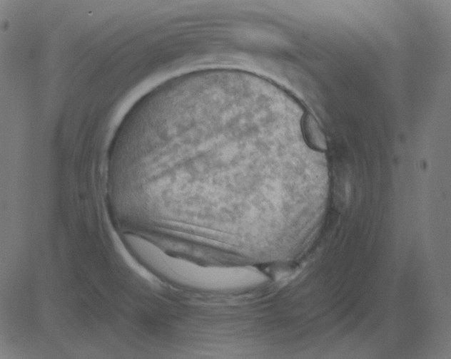 X0000081281519200702012206