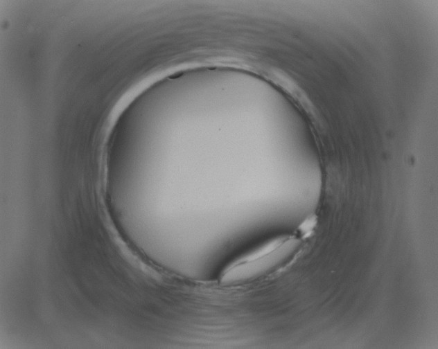 X0000081281520200702012206